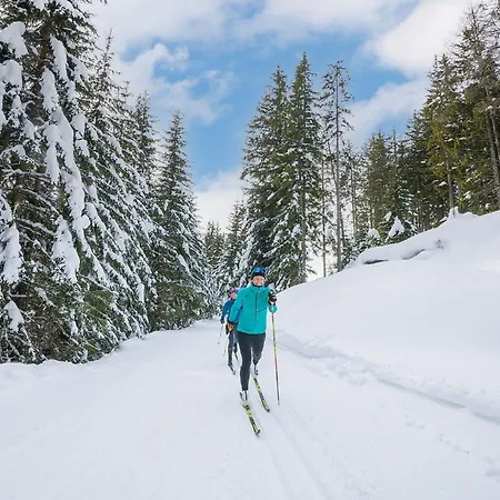 Luxalps - St Englmar - Skifahren- Wandern- Natur- Bayrischer Wald Aktiv Card Курортный комплекс