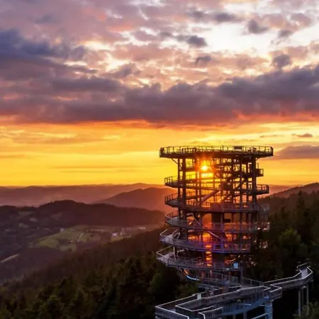 Luxalps - St Englmar - Skifahren- Wandern- Natur- Bayrischer Wald Aktiv Card * Sankt Englmar